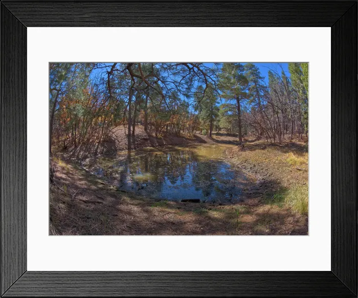 Framed Print : One of three ponds called the Hearst Tanks, on Grand Canyon South Rim, located one mile east of Grandview Point, Grand Canyon National Park, UNESCO World Heritage Site, Arizona, United States of America, North America Framed Print : One of three ponds called the Hearst Tanks, on Grand Canyon South Rim, located one mile east of Grandview Point, Grand Canyon National Park, UNESCO World Heritage Site, Arizona, United States of America, North America