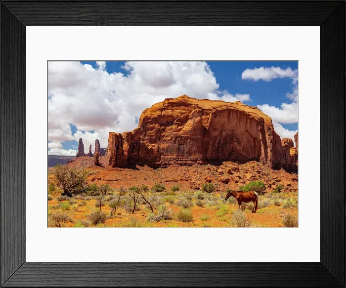 Framed Print : A horse rests in the beautiful Monument Valley on a summer day, Arizona, United States of America, North America Framed Print : A horse rests in the beautiful Monument Valley on a summer day, Arizona, United States of America, North America