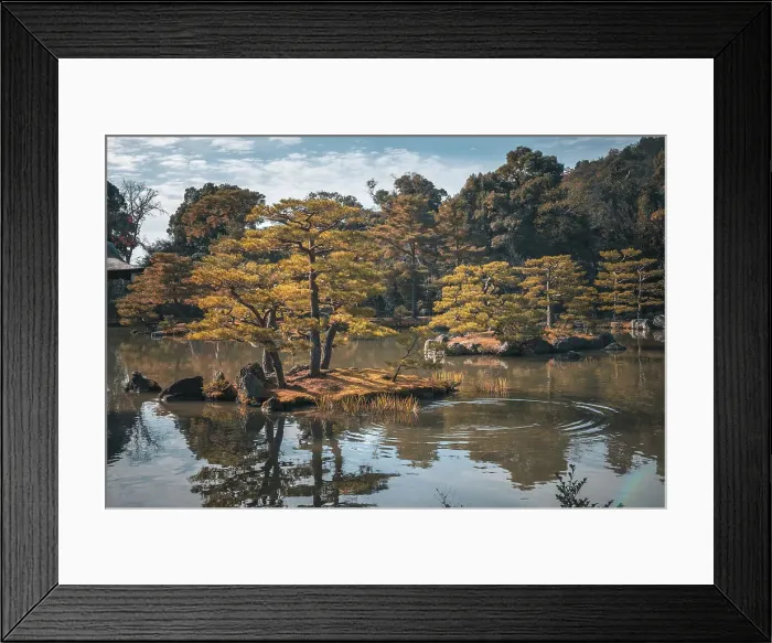 Framed Print : Autumn colored trees over a pond in a Japanese temple garden, Kyoto, Honshu, Japan, Asia Framed Print : Autumn colored trees over a pond in a Japanese temple garden, Kyoto, Honshu, Japan, Asia