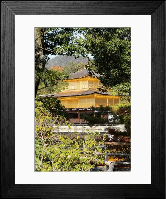 Framed Print : Kinkaku-ji Golden Pavilion Temple framed by trees, UNESCO World Heritage Site, Kyoto, Honshu, Japan, Asia Framed Print : Kinkaku-ji Golden Pavilion Temple framed by trees, UNESCO World Heritage Site, Kyoto, Honshu, Japan, Asia