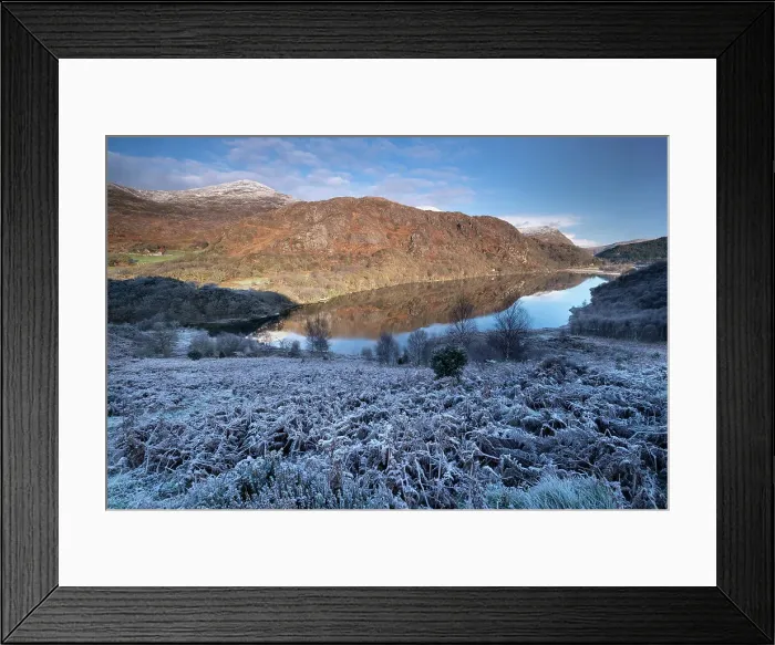 Framed Print : Frost covered Bracken above Llyn Dinas in winter, near Beddgelert, Snowdonia National Park (Eryri), North Wales, United Kingdom, Europe Framed Print : Frost covered Bracken above Llyn Dinas in winter, near Beddgelert, Snowdonia National Park (Eryri), North Wales, United Kingdom, Europe