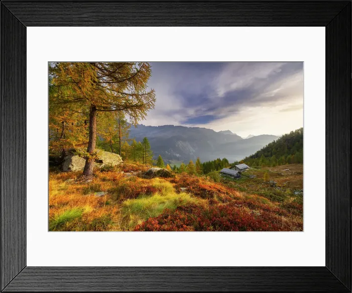 Framed Print : Alpine bivouac at Lagazzuolo lake at sunrise during autumn, Chiesa di Valmalenco, Sondrio, Lombardy, Italy, Europe Framed Print : Alpine bivouac at Lagazzuolo lake at sunrise during autumn, Chiesa di Valmalenco, Sondrio, Lombardy, Italy, Europe