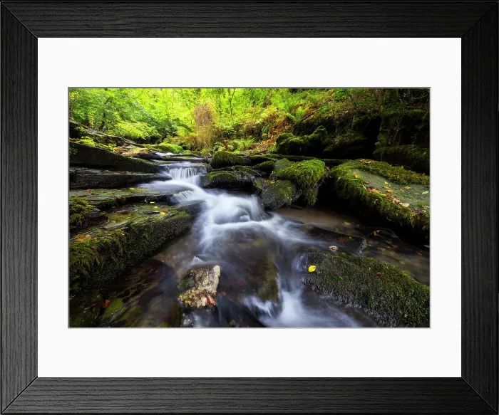 Framed Print : Woodland at St. Nectan's Glen, Threthevy, Tintagel, Cornwall, England, United Kingdom, Europe Framed Print : Woodland at St. Nectan's Glen, Threthevy, Tintagel, Cornwall, England, United Kingdom, Europe