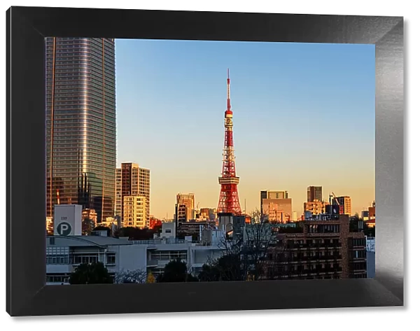 Beautiful sunset over the skyline of Tokyo with Toyko Tower, Tokyo, Honshu, Japan, Asia