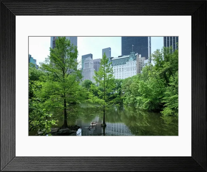 Framed Print : View of Manhattan cityscape as seen from The Pond, one of seven bodies of water in Central Park located near Grand Army Plaza, across Central Park South from the Plaza Hotel, New York City, United States of America, North America