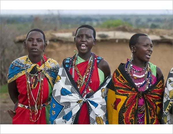 Masai women singing, Masai Mara, Kenya, East Africa, Africa
