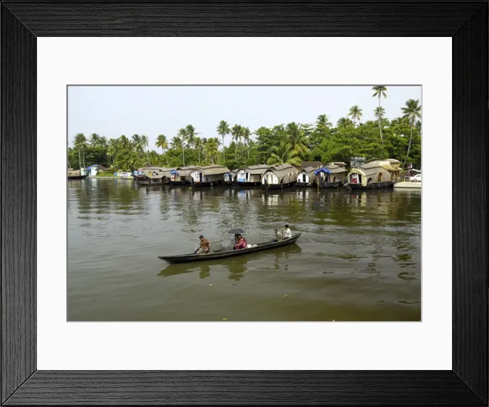Framed Print : Houseboats moored in the backwaters of Alleppey, Kerala, India Framed Print : Houseboats moored in the backwaters of Alleppey, Kerala, India