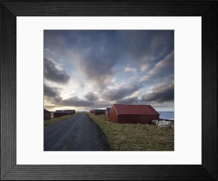 Framed Print : Red huts and sheep at sunset on coast, Lofoten Islands, Norway, Scandinavia, Europe Framed Print : Red huts and sheep at sunset on coast, Lofoten Islands, Norway, Scandinavia, Europe