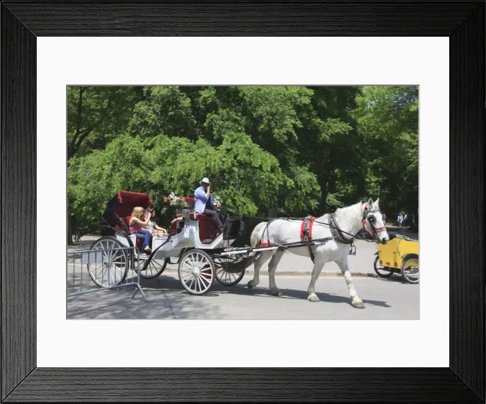 Framed Print : Horse and buggy, Central Park, Manhattan, New York City, New York, United States of America