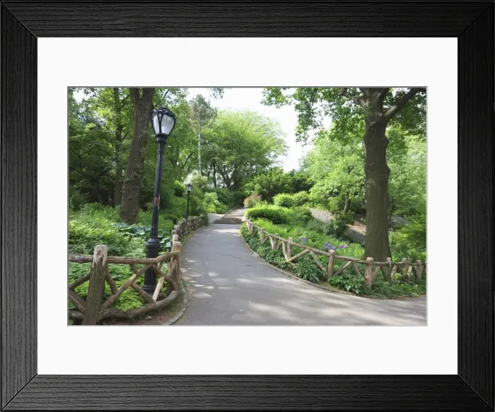 Framed Print : _J5R6334-2 Framed Print : _J5R6334-2