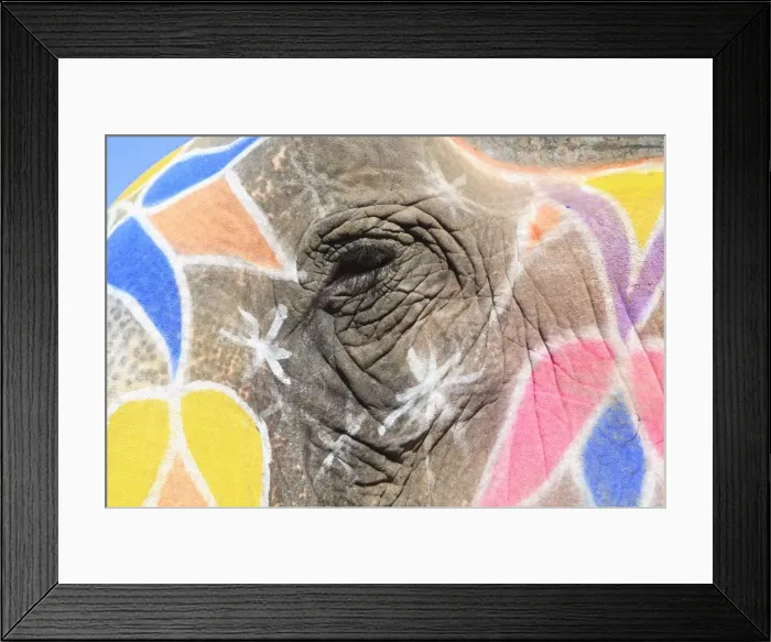 Framed Print : Painted elephant, Amber Fort Palace, Jaipur Rajasthan, India, Asia Framed Print : Painted elephant, Amber Fort Palace, Jaipur Rajasthan, India, Asia