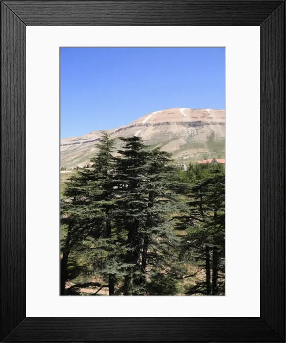Framed Print : The Cedar Trees of Bcharre, Qadisha Valley (Holy Valley), UNESCO World Heritage Site Framed Print : The Cedar Trees of Bcharre, Qadisha Valley (Holy Valley), UNESCO World Heritage Site
