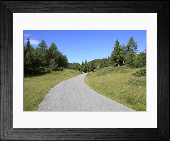 Framed Print : Road in the pinewood, Lombardy, Italy, Europe Framed Print : Road in the pinewood, Lombardy, Italy, Europe