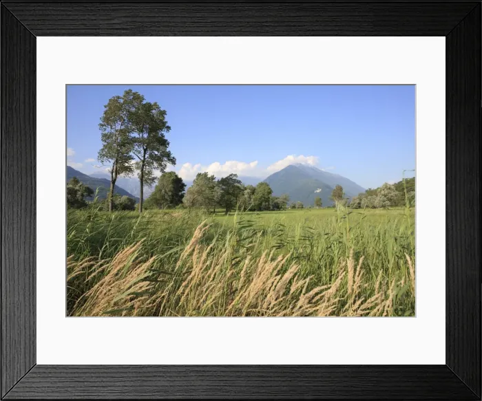Framed Print : Countryside near Colico, Lombardy, Italy, Europe Framed Print : Countryside near Colico, Lombardy, Italy, Europe