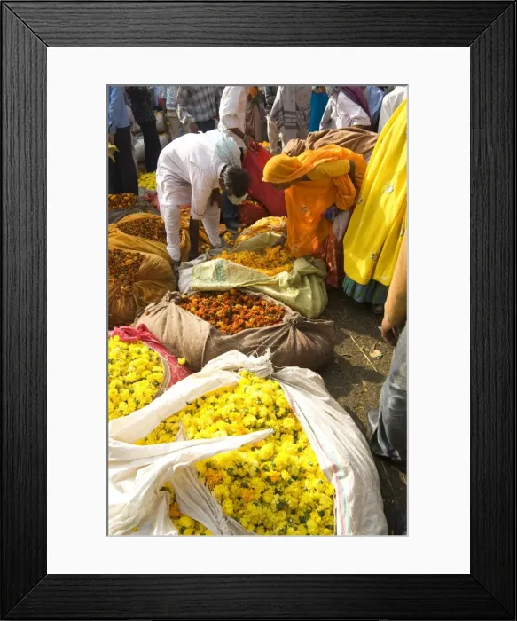 Framed Print : Woman buying marigolds tied up in cloth and sacking, flower market, Bari Chaupar Framed Print : Woman buying marigolds tied up in cloth and sacking, flower market, Bari Chaupar