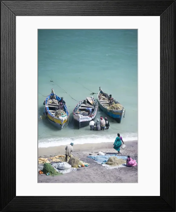 Framed Print : Unloading the mornings catch of fish, Dhanushkodi, Tamil Nadu, India, Asia Framed Print : Unloading the mornings catch of fish, Dhanushkodi, Tamil Nadu, India, Asia