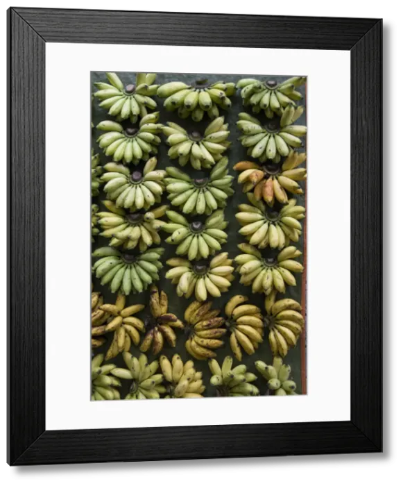 Framed Print : AMO5818. Bananas for sale on a market stall, Miri