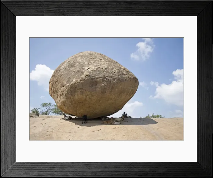 Framed Print : Goats and goatherd sheltering from the sun under Lord Krishnas butterball Framed Print : Goats and goatherd sheltering from the sun under Lord Krishnas butterball