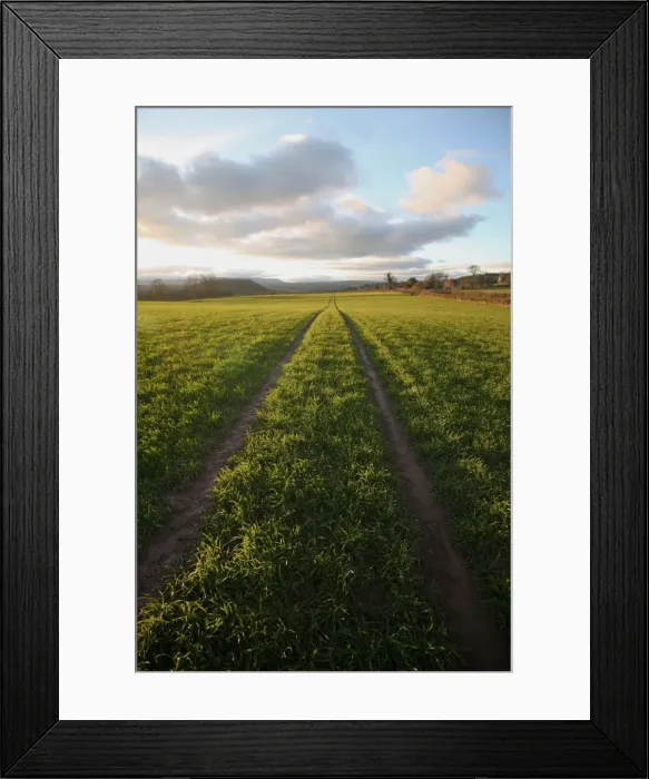 Framed Print : An old lane almost overtaken by grass in a field near Peterchurch, Golden Valey Framed Print : An old lane almost overtaken by grass in a field near Peterchurch, Golden Valey