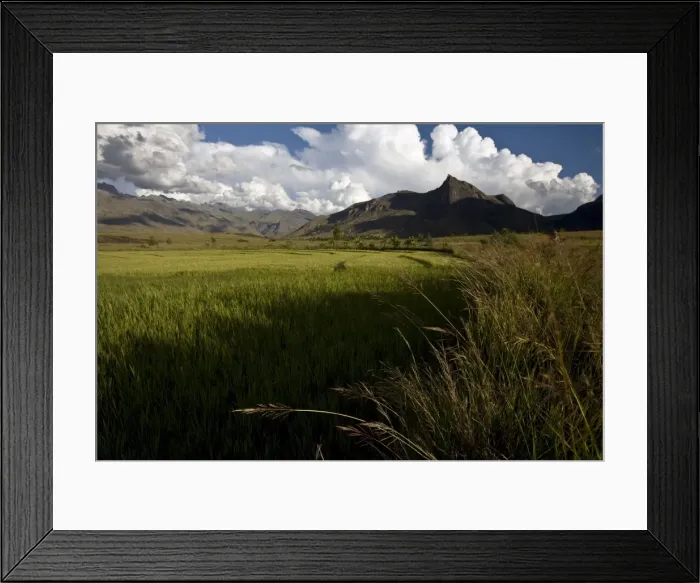 Framed Print : Rice fields in the evening sun underneath the Tsaranoro Massif, Andringitra National Park Framed Print : Rice fields in the evening sun underneath the Tsaranoro Massif, Andringitra National Park