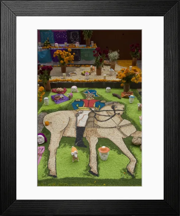 Framed Print : Image of Ignacio Allende, a revolutionary hero, part of decorations for the Day of the Dead festival, Plaza Principal, San Miguel de Allende, Guanajuato, Mexico Framed Print : Image of Ignacio Allende, a revolutionary hero, part of decorations for the Day of the Dead festival, Plaza Principal, San Miguel de Allende, Guanajuato, Mexico