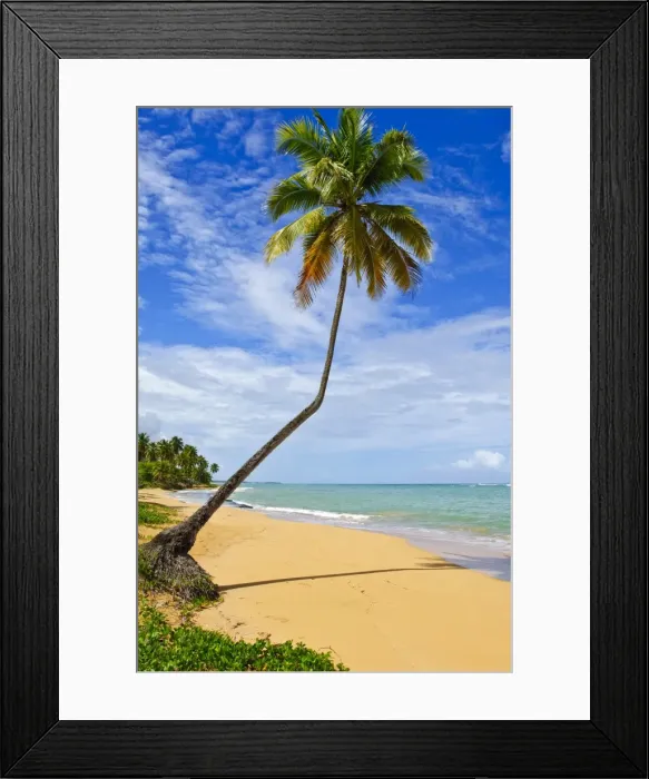 Framed Print : Tres Palmitas Beach, Puerto Rico, West Indies, Caribbean, Central America Framed Print : Tres Palmitas Beach, Puerto Rico, West Indies, Caribbean, Central America