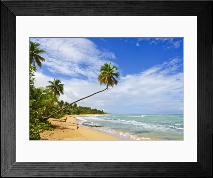 Framed Print : Tres Palmitas Beach, Puerto Rico, West Indies, Caribbean, Central America Framed Print : Tres Palmitas Beach, Puerto Rico, West Indies, Caribbean, Central America