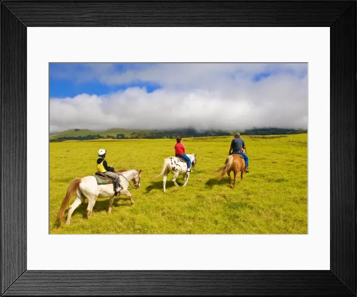 Framed Print : Horseback riding at Parker Ranch, The Big Island, Hawaii, United States of America