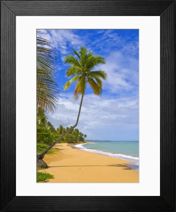 Framed Print : Tres Palmitas Beach, Puerto Rico, West Indies, Caribbean, Central America Framed Print : Tres Palmitas Beach, Puerto Rico, West Indies, Caribbean, Central America