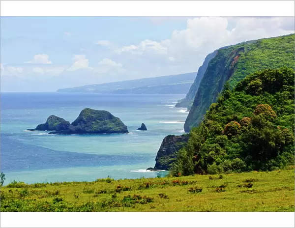 Pololu Valley, Kapaau coast, Big Island, Hawaii, United States of America