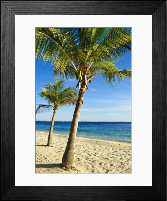 Framed Print : Beach, Bonaire, Netherlands Antilles, West Indies, Caribbean, Central America Framed Print : Beach, Bonaire, Netherlands Antilles, West Indies, Caribbean, Central America