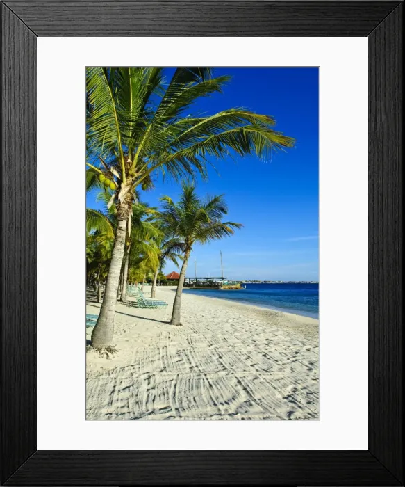 Framed Print : Bonaire, Netherlands Antilles, West Indies, Caribbean, Central America