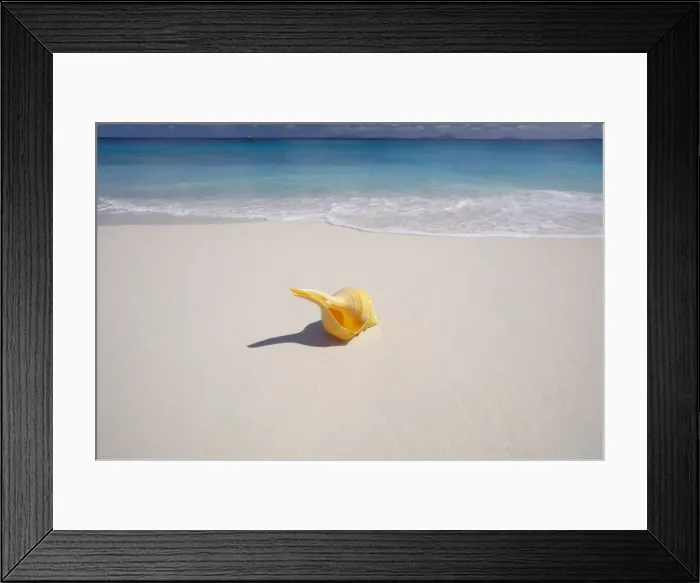 Framed Print : Seychelles, Indian Ocean, Africa Framed Print : Seychelles, Indian Ocean, Africa