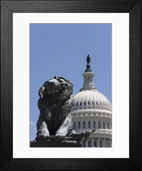 Framed Print : Lion Statue in front of the dome of the U. S. Capitol Building, Washington D