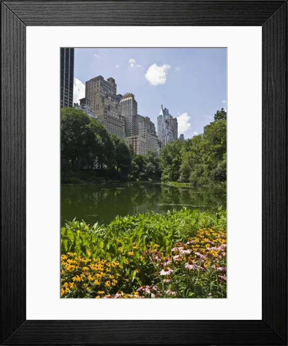 Framed Print : Summer flowers and The Pond, Central Park, Manhattan, New York, United States of America Framed Print : Summer flowers and The Pond, Central Park, Manhattan, New York, United States of America