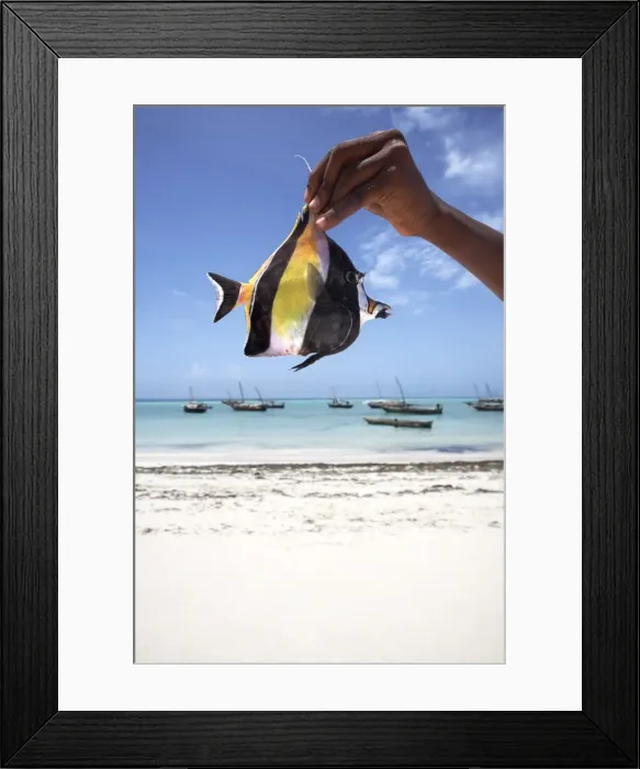 Framed Print : A tropical fish on Nungwi beach, Zanzibar, Tanzania, East Africa, Africa Framed Print : A tropical fish on Nungwi beach, Zanzibar, Tanzania, East Africa, Africa