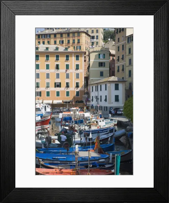 Framed Print : Camogli, Liguria, Italy, Europe Framed Print : Camogli, Liguria, Italy, Europe