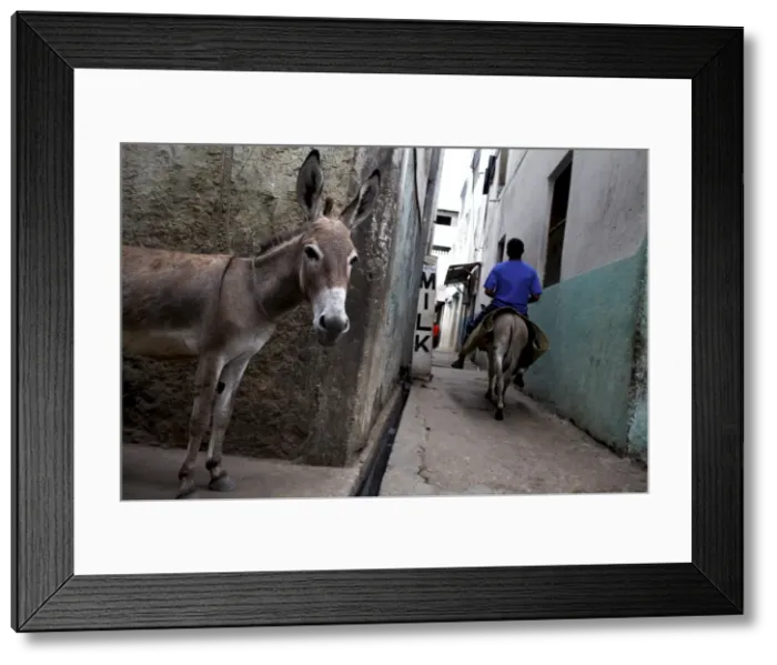 Framed Print : The narrow streets of Lamu Town, Lamu, Kenya, East Africa, Africa Framed Print : The narrow streets of Lamu Town, Lamu, Kenya, East Africa, Africa