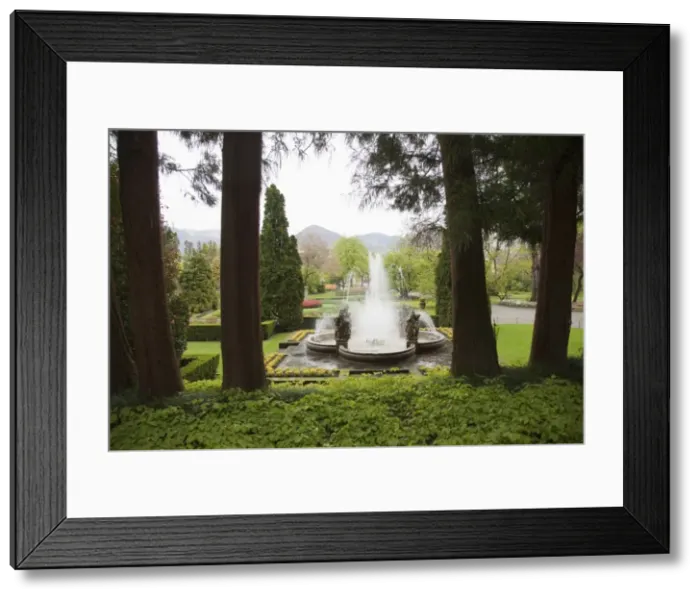 Framed Print : The gardens of Villa Taranto, Verbania, Lake Maggiore, Piedmont, Italy, Europe Framed Print : The gardens of Villa Taranto, Verbania, Lake Maggiore, Piedmont, Italy, Europe