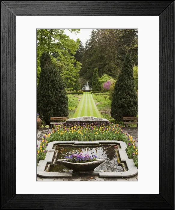 Framed Print : The gardens of Villa Taranto, Verbania, Lake Maggiore, Piedmont, Italy, Europe Framed Print : The gardens of Villa Taranto, Verbania, Lake Maggiore, Piedmont, Italy, Europe