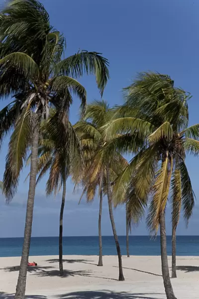 Playa del Este, Havana, Cuba, West Indies, Central America