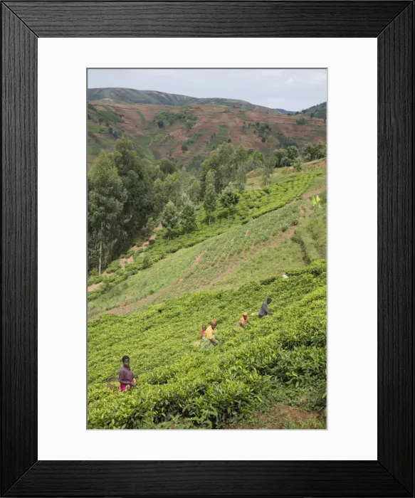 Framed Print : Village of Masango, Cibitoke Province, Burundi, Africa Framed Print : Village of Masango, Cibitoke Province, Burundi, Africa