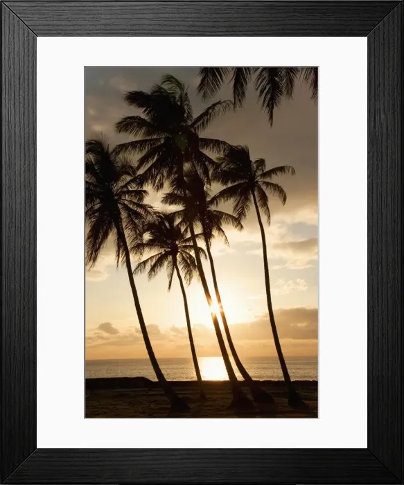 Framed Print : Palm trees at sunset, Dominican Republic, West Indies, Caribbean, Central America Framed Print : Palm trees at sunset, Dominican Republic, West Indies, Caribbean, Central America