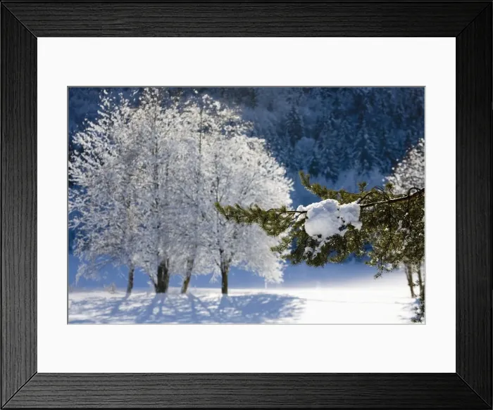 Framed Print : Winter, Val Vigezzo (Vigezzo Valley), Piedmont Region, The Alps, Italy, Europe Framed Print : Winter, Val Vigezzo (Vigezzo Valley), Piedmont Region, The Alps, Italy, Europe