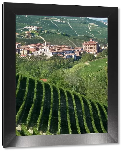 Barolo, Langhe region, Piedmont, Italy, Europe