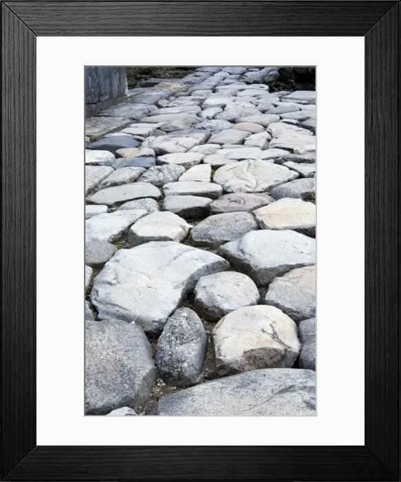 Framed Print : Roman road, Vienne, Rhone Valley, France, Europe Framed Print : Roman road, Vienne, Rhone Valley, France, Europe