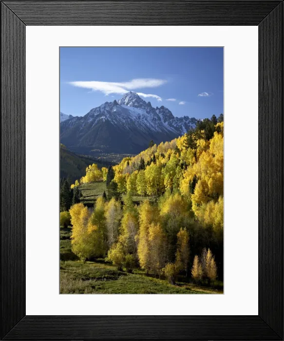 Framed Print : Sneffels Range with fall colors near Dallas Divide, Uncompahgre National Forest Framed Print : Sneffels Range with fall colors near Dallas Divide, Uncompahgre National Forest