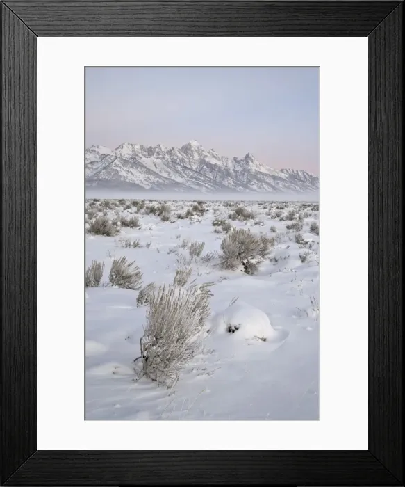 Framed Print : Teton Range at Dawn in winter, Grand Teton National Park, Wyoming, United States of America Framed Print : Teton Range at Dawn in winter, Grand Teton National Park, Wyoming, United States of America
