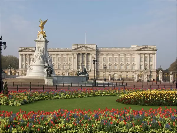 Spring tulips at Buckingham Palace, London, England, United Kingdom, Europe