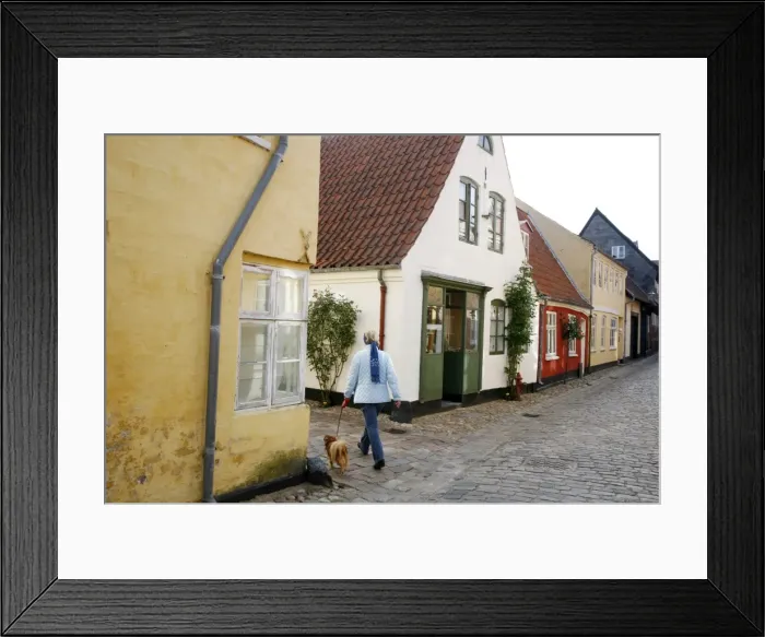 Framed Print : Woman walking with a dog in Ribe historic center, Ribe, Jutland, Denmark Framed Print : Woman walking with a dog in Ribe historic center, Ribe, Jutland, Denmark